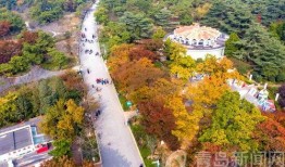 中山公园最新爆料,揭秘公园历史变迁与未来规划